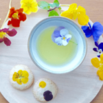 【満木葉子の日本茶完全攻略法vol.1】そもそも日本茶ってなに？