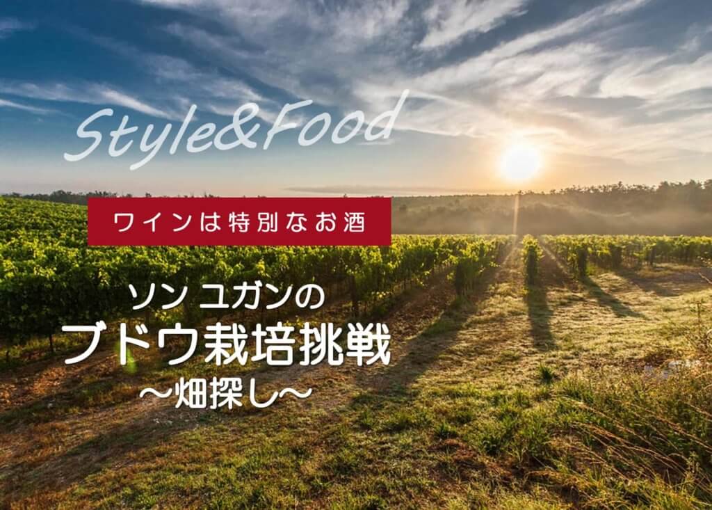【ワインは特別なお酒】ソンユガンのブドウ栽培挑戦〜畑探し〜