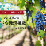 【ワインは特別なお酒】ソンユガンのブドウ栽培挑戦〜土壌改良〜