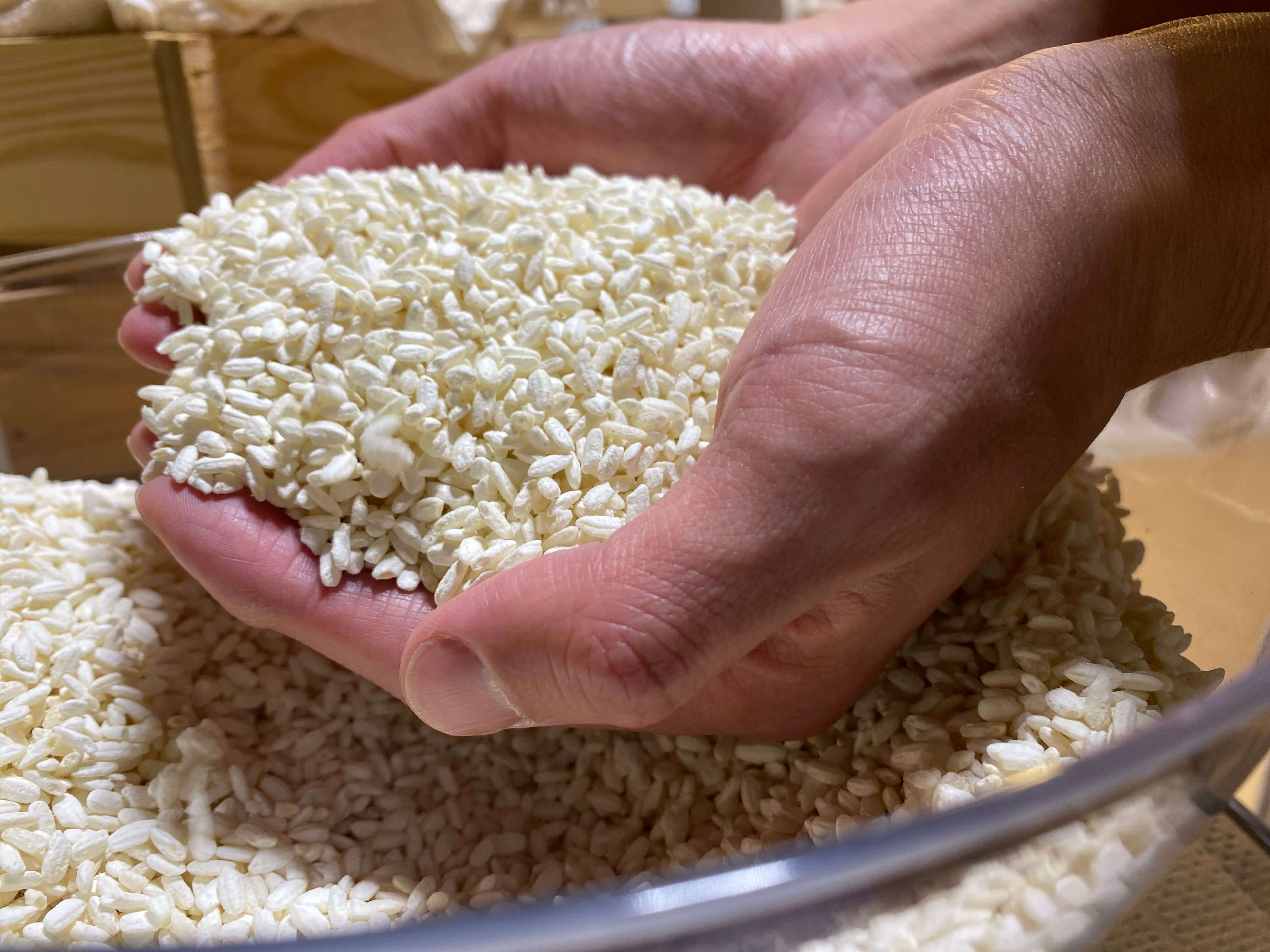 米麹で作られている甘酒は腸内環境の改善に特化