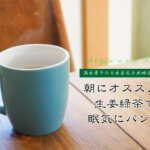 【満木葉子の日本茶完全攻略法vol.24】朝にオススメ！生姜緑茶で眠気にパンチ！