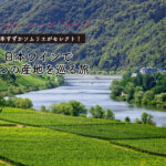 【岩本すずかソムリエがセレクト】日本ワインで４つの産地を巡る旅