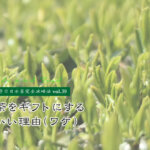【満木葉子の日本茶完全攻略法vol.39】新茶をギフトにするといい理由(ワケ)