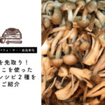 【蕎麦打ちパフォーマー・岩品幸司】秋を先取り！きのこを使った蕎麦レシピ2種をご紹介