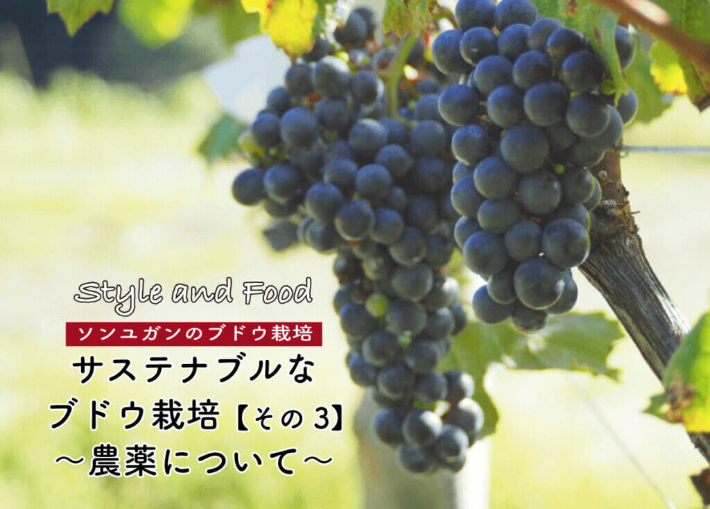 【ソンユガンのブドウ栽培】サステナブルなブドウ栽培その3〜「農薬」について〜