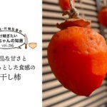 【管理栄養士・片桐佑香の受け継ぎたいばあちゃんの知恵 vol.26】上品な甘さともちっとした食感の干し柿